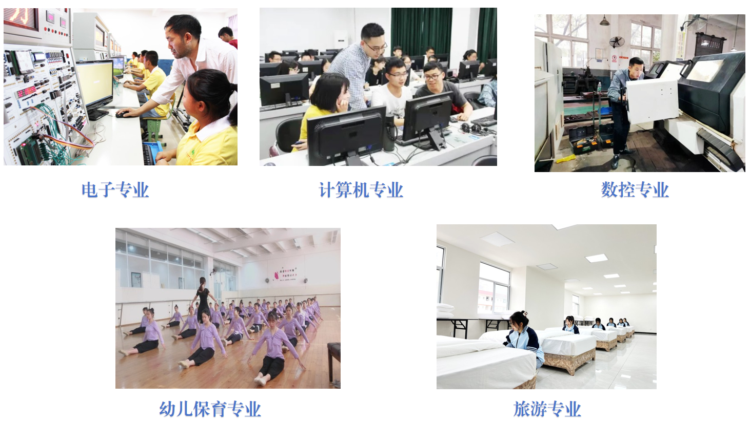 5大专业.png